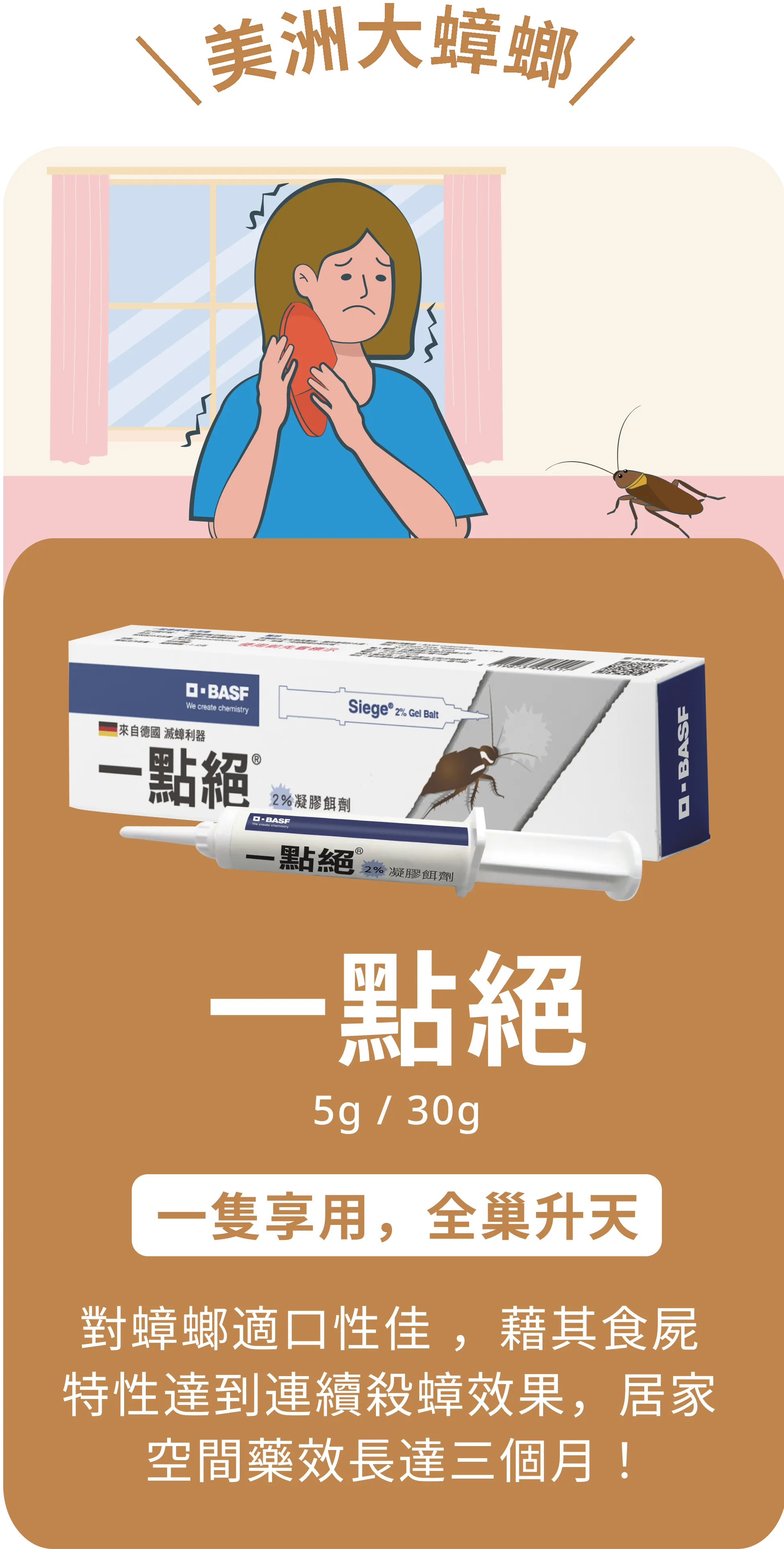 美洲大蟑螂 | 一點絕 5g / 30g | 一隻享用，全巢升天 | 對蟑螂適口性佳 ，藉其食屍特性達到連續殺蟑效果，居家空間藥效長達三個月！