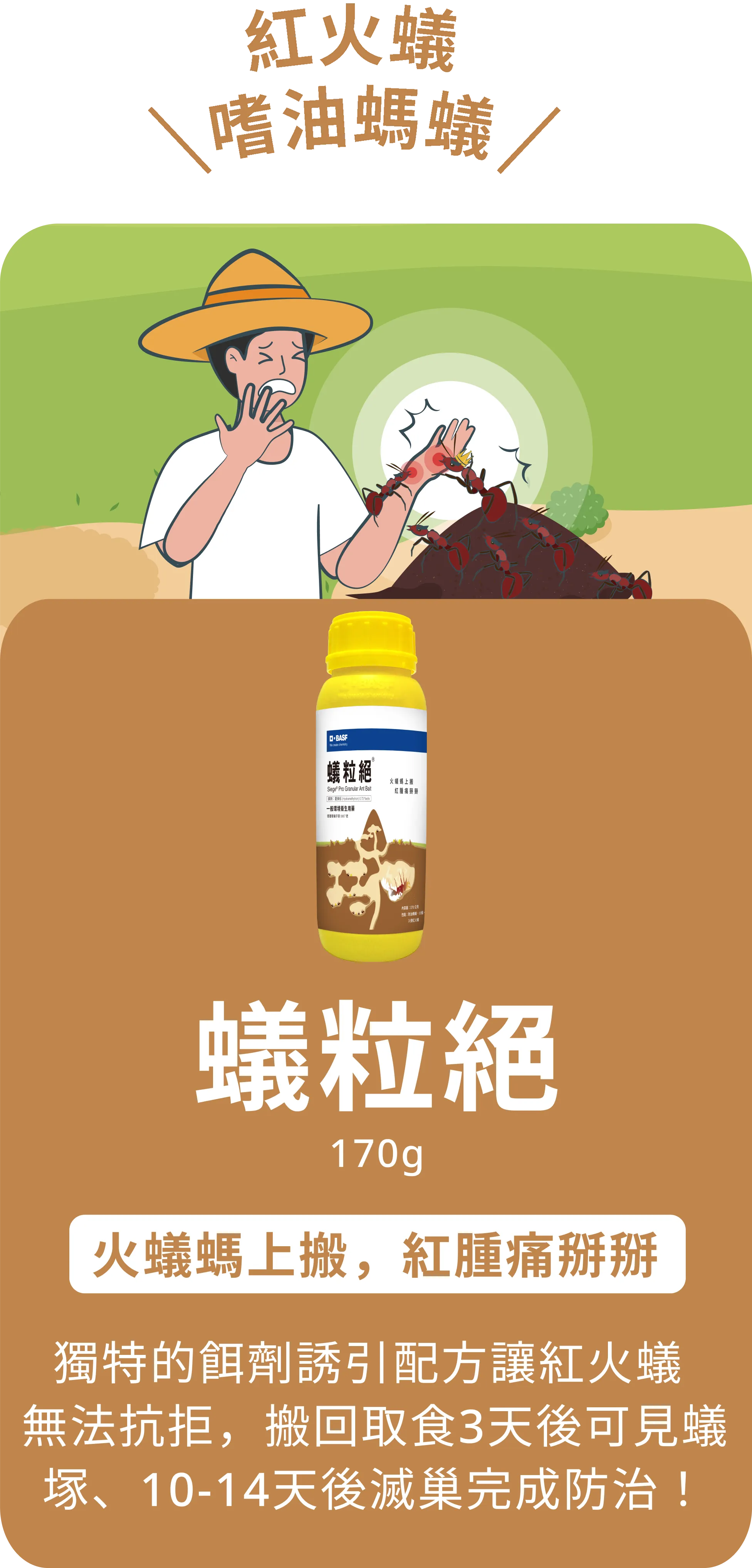 紅火蟻,嗜油螞蟻 | 蟻粒絕 170g | 火蟻螞上搬，紅腫痛掰掰  | 獨特的餌劑誘引配方讓紅火蟻無法抗拒，搬回取食3天後可見蟻塚、10-14天後滅巢完成防治！